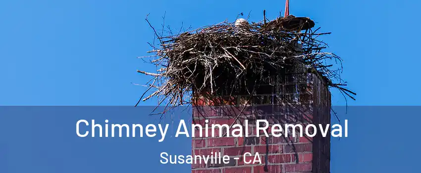  Chimney Animal Removal Susanville - CA