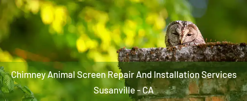  Chimney Animal Screen Repair And Installation Services Susanville - CA