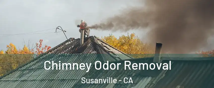  Chimney Odor Removal Susanville - CA