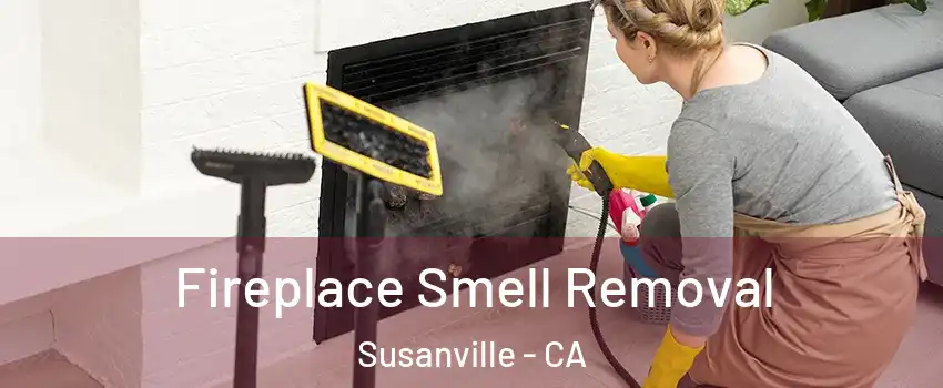  Fireplace Smell Removal Susanville - CA