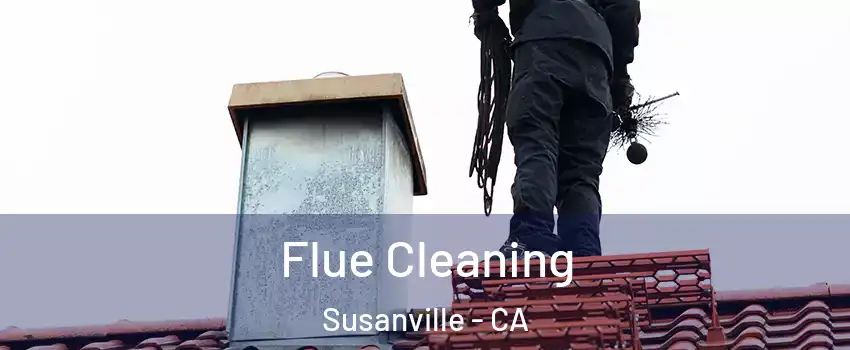  Flue Cleaning Susanville - CA