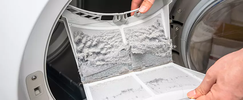 Best Dryer Lint Removal Company in Susanville, California