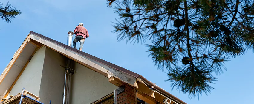 Birds Removal Contractors from Chimney in Susanville, CA