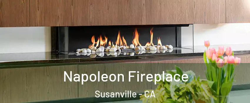  Napoleon Fireplace Susanville - CA